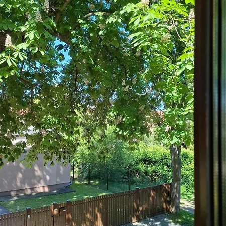 公寓 Gemuetliches 1-zimmer-appartment Mit Balkon