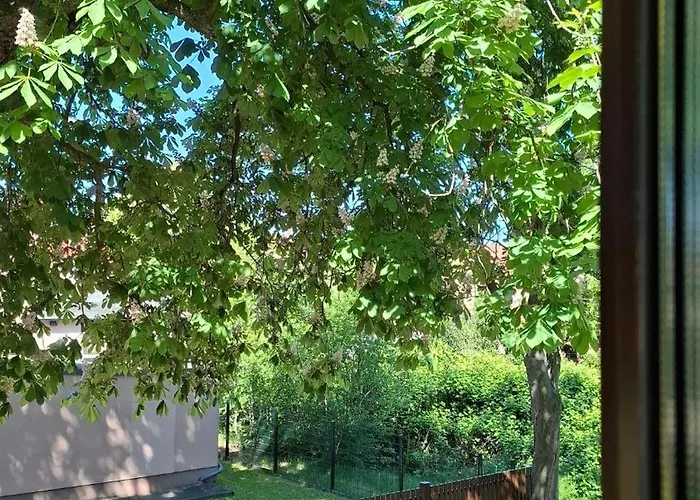 Lejlighed Gemuetliches 1-zimmer-appartment Mit Balkon